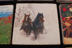 Tumbled Stone Trivets 2 small