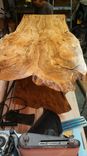 Spalted Water Oak Live Edge Coffee Table 6 small