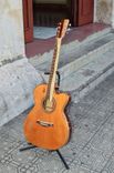 Pinol Guitars And Ukuleles Solid Cocobolo Rosewood Body/Mahogany Top ( Free Shipping) 3 small