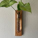 Propagation Vase - Here Comes The Sun 1 small