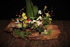 Natural Wood Plant Holder With Hand Sculpted Animal. 3 small
