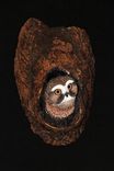 Hand Carved And Sculpted Owl 3 small