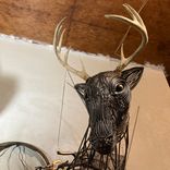 Whitetail Shoulder Mount 3 small