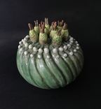 Garden Stoneware Sculptures 4 small