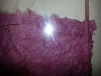 Artwork Original Artist Carol Littlefield 6 small