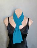 Teal Chiffon 1 small