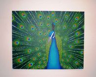 Peacock Paintings 1 small