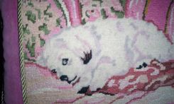Pretty Pink Animal/Dog Needpoint Pillow (Small) 1 small