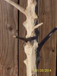 Coat Racks / Tack Racks 2 small