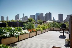 Steel And Cedar Garden Planter Boxes 1 small
