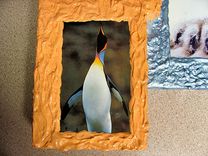 3d Photo Frame Of Polar Bear And Penguin 2 small