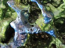 Neptune's Kingdom -  3d Wall Art In 2 Pieces 3 small