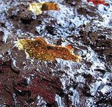 "Primordial" - 3d Abstract Wall Art 4 small