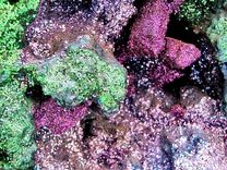 Green & Purple Geode Sculpture 2 small