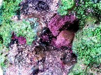 Green & Purple Geode Sculpture 4 small