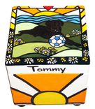 Ray Of Light Dog Box Urn 3 small