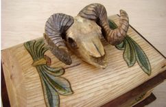 Big Horn Sheep Skull Box 2 small