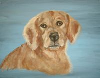 Pet/Animal Portraits 1 small