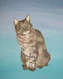 Pet/Animal Portraits 2 small