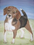 Pet/Animal Portraits 3 small