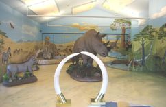 Firstsafari Exhibit 1 small