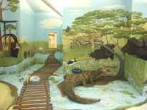 Firstsafari Exhibit 3 small