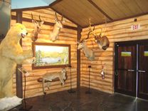 Firstsafari Exhibit 4 small