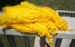 Hand Dyed Lincoln Wool Locks 1 small