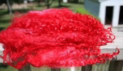 Hand Dyed Lincoln Wool Locks 5 small