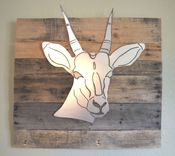 Antelope - Heads Of Africa 3 small