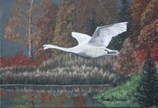 Wildlife Paintings, Eagle, Deer, Swan, Wolf, Mustang 3 small