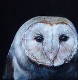 Owl Acrylic Painting 1 small