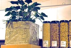 Showcase Your Favorite Interior Plants In Beautiful Naturally Inspired Planter Boxes 3 small