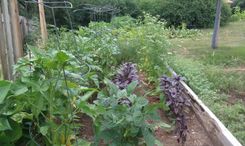 Bearcreek Garden 1 small