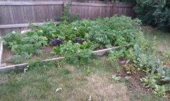 Bearcreek Garden 2 small