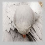 Gallery Wrap Canvas Hand Stretched Fine Art Photograph 2 small