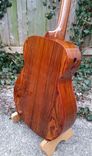 Handmade Guitar's By Ike Wilhelm 1 small