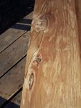 Rustic Spalted Maple Bench 5 small