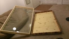 Display Case 1 small