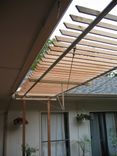 Trellis 2 small