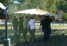 Wedding Canopy 3 small
