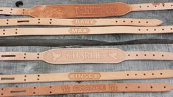 Leather Dog Collars 5 small