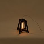 Cage Light Task 1 small