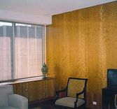 Contemporary Paneling 1 small
