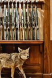 Gun Cabinet Trophy Room 6 small