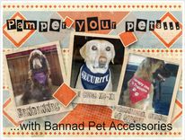 Bandana For Your Pet 1 small