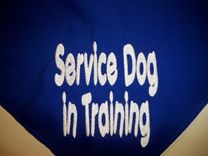 Bandana For Your Pet 7 small