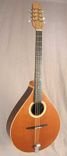 Irish Bouzouki Or Octave Mandolin 1 small