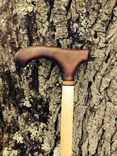 Derby Style Walking Cane 1 small