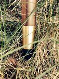 Claro Walnut Burl Derby Cane 4 small